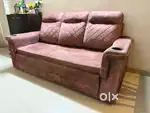 Sofa Cum Bed and Tv Panel