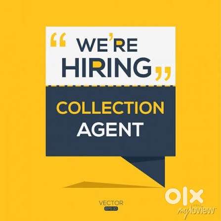 Collection Executive
