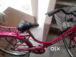 Lauren ladies and girls bicycle prince