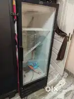 Cooler Fridge
