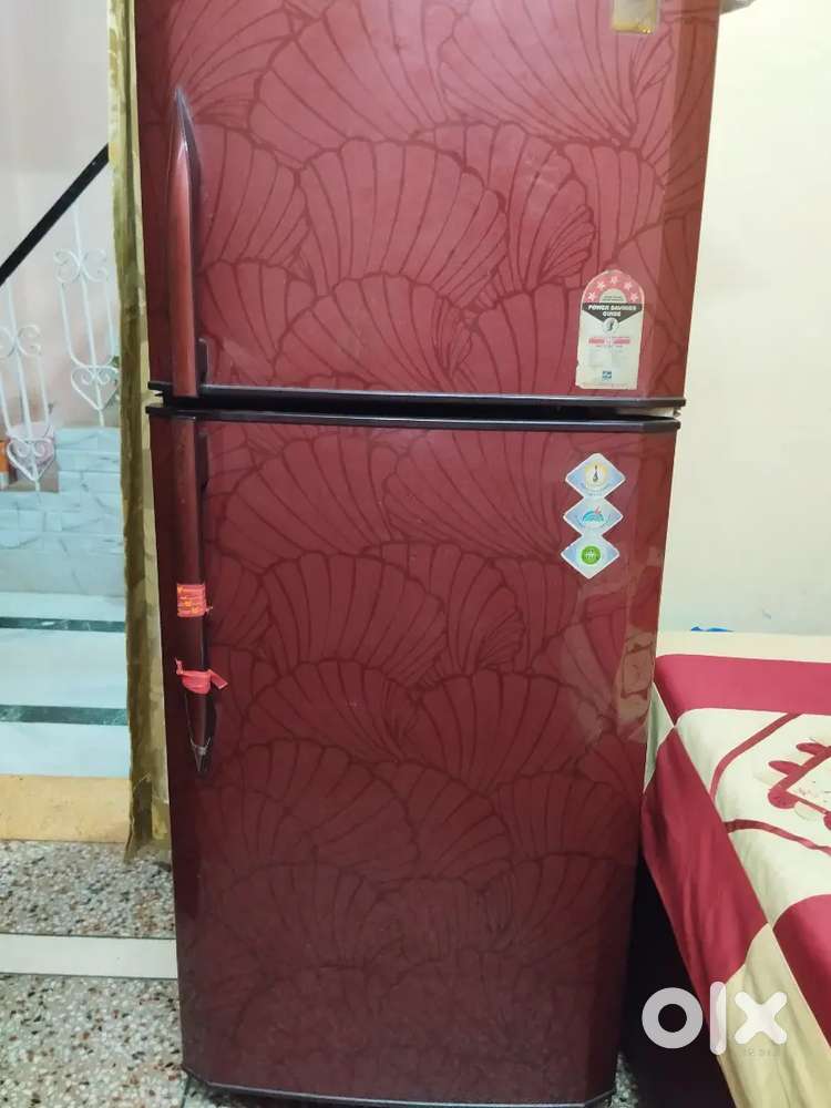 Godrej friz double door