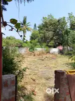 PLOT FOR SALE