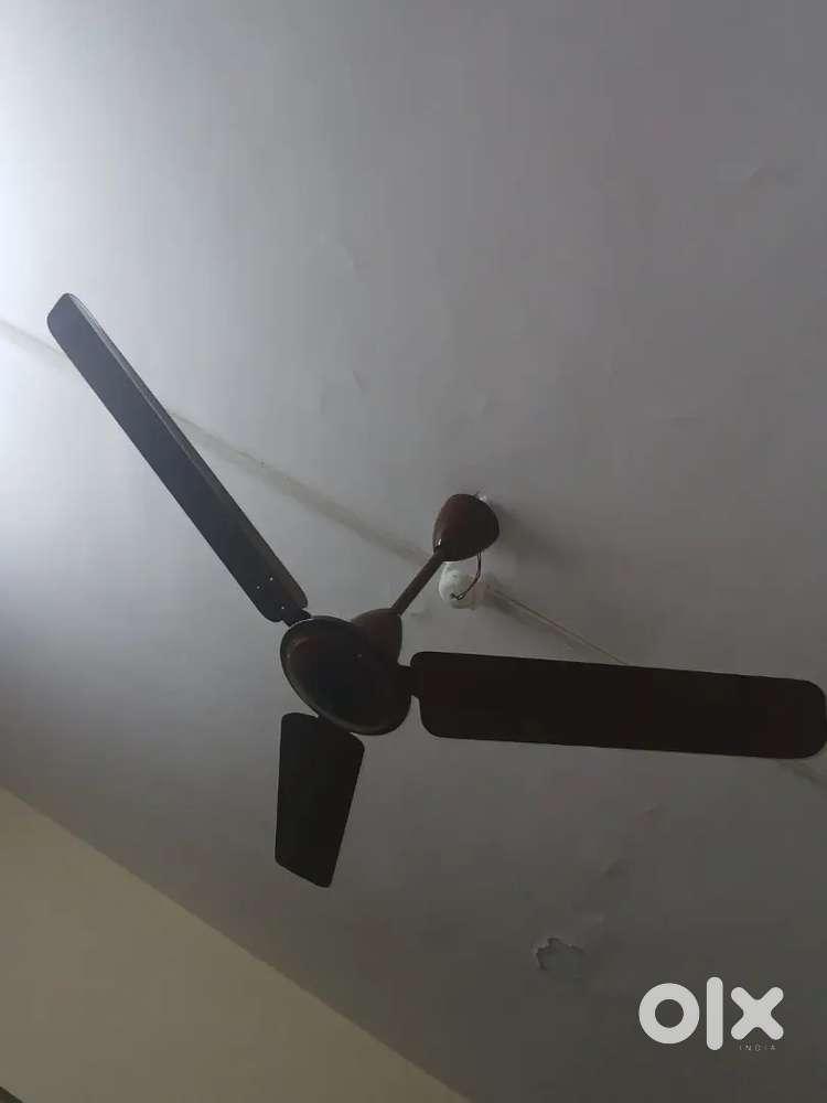 Atomberg
Ceiling Fan with remote