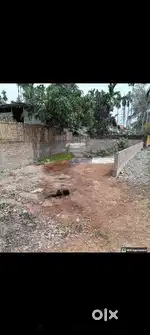 1/2 katha land at  Dihingia Gaon,50 mtr stepward from National Highwa