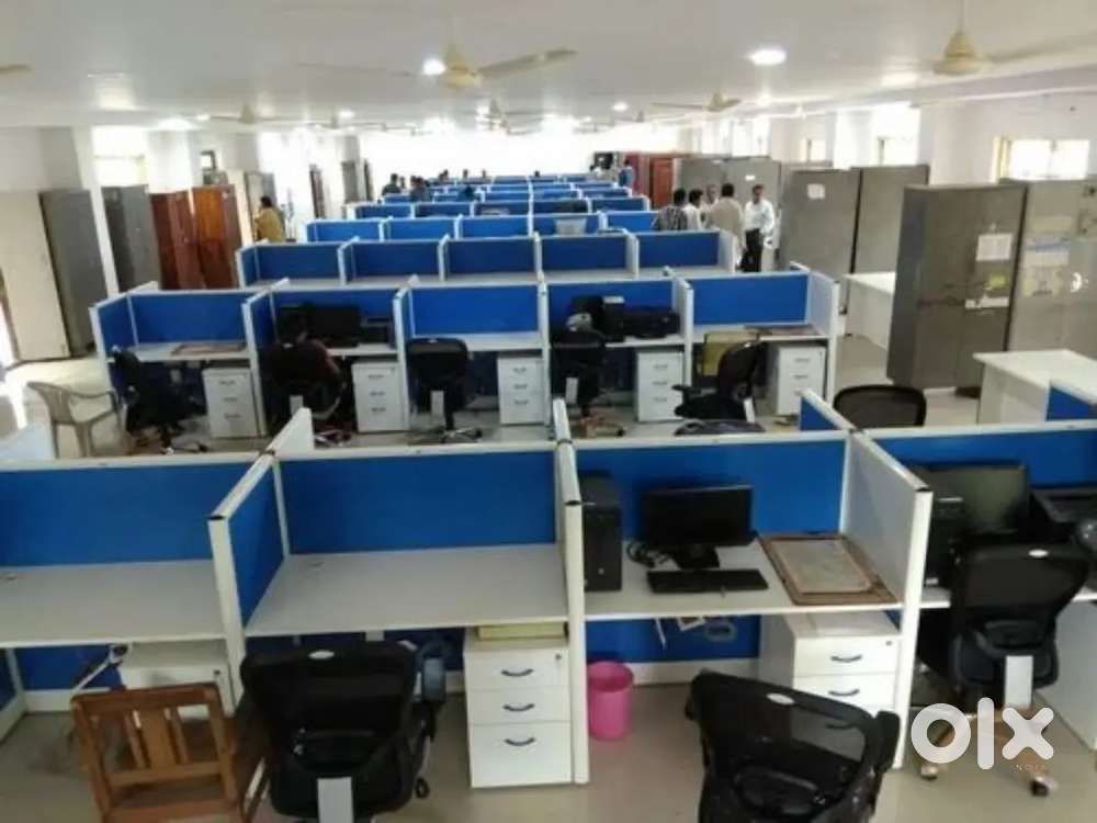 Office Boy