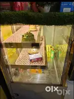 Cake counter