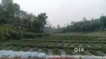 Banbudai 7km na umsning hajan resort Mawpdang 2400 area 350