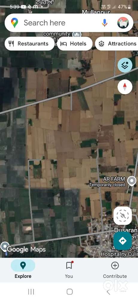 Village neholka bnna mullanpur sodiyan