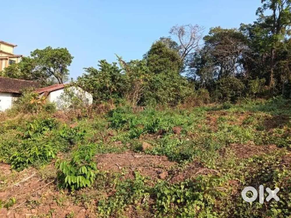Land plot 423 sq.mt for sale in porvorim near coquiero brittona road