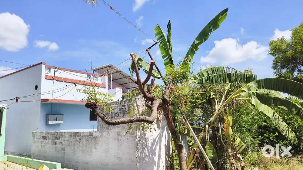 BANK PROPERTY