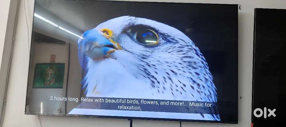 LG nanocell 55 inch 4k new tv