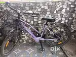 Electric cycle