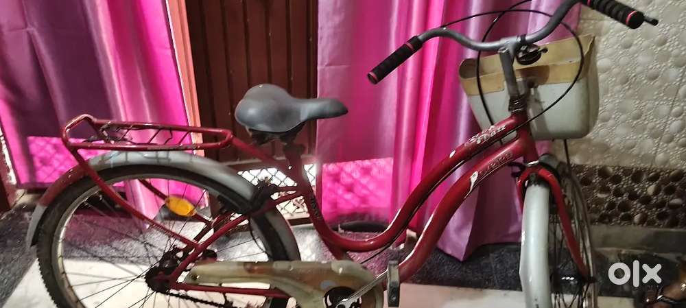 Ladybird bicycle for girls