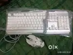 Zebronics transformer keyboard