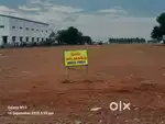 1 ACRE EMPTY LAND ROAD FACE AVAILABLE FOR RENT @  PEEDAMPALLI,