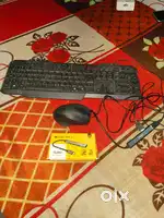 Keyboard,mouse ,USB hub .