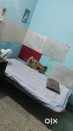 Need a female roommate