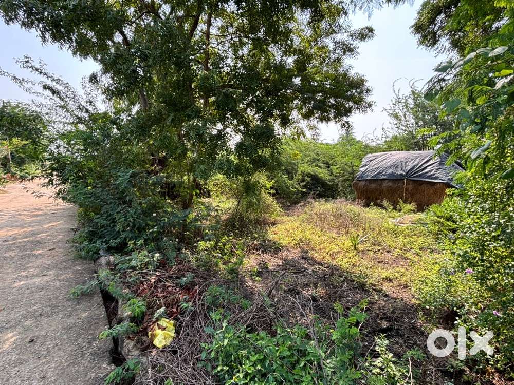 North Face Plot In Kallurupalli Village