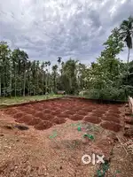 5 cent place for sale ,road side near masjid in kadumeni (kasaragod)
