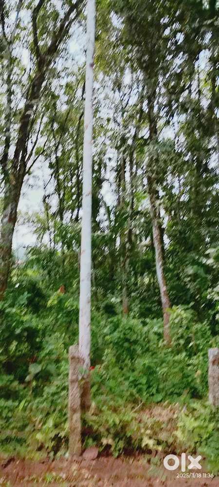 66 Cent Rubber Land for Sale – Chiranickal (Near Parakode & Kodumon)