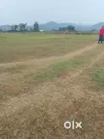 Registery cnt free plot