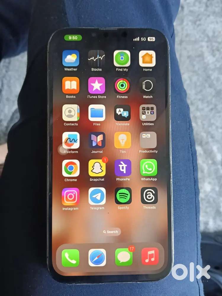 iPhone 13 pro max