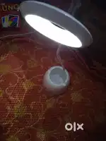 Study  lamp