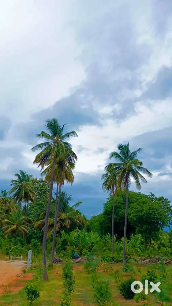 Gated community MANAGED FARM land with Weekend Home 6534sqft call me