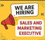 Sales and marketing executive