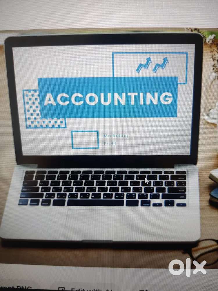 I will do accounting,Gst filing