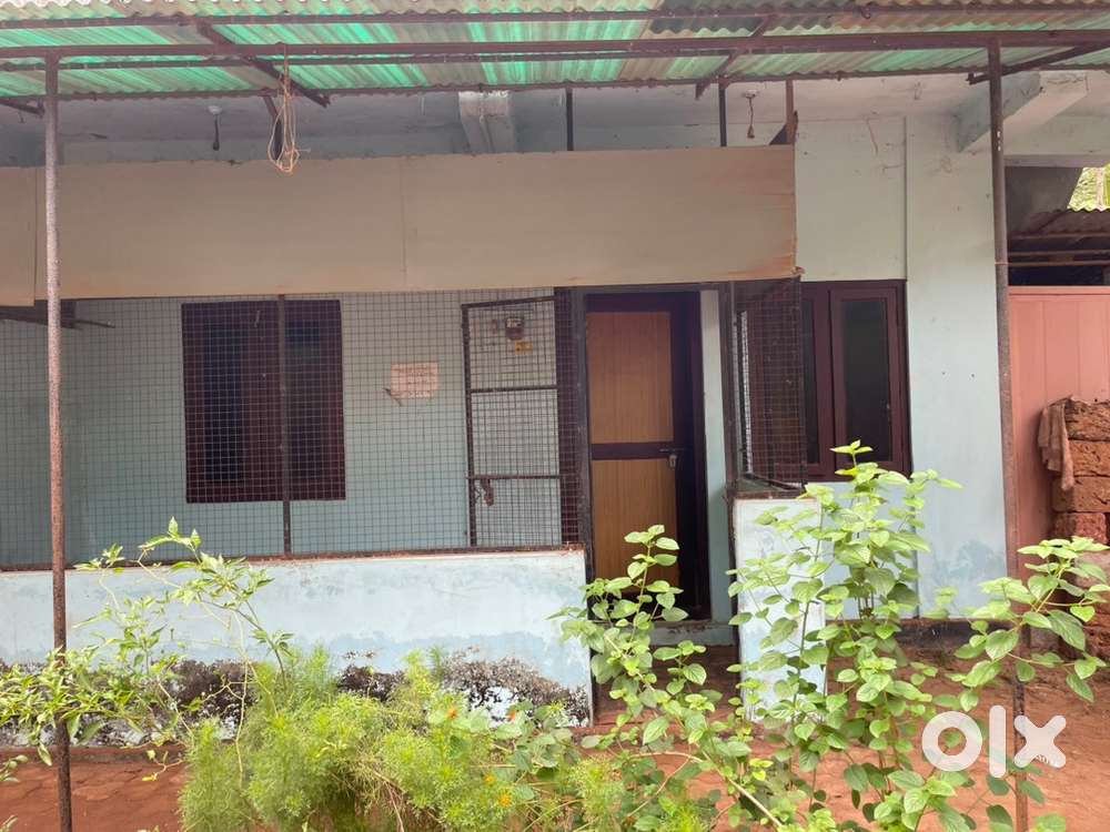 Cottage for rent