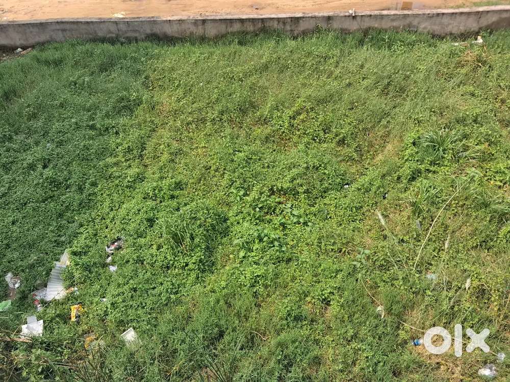 Plot for sale in rokot,mancheswar attached with 30ft.road and ele.