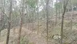 Konni to Pathanapuram highway Road 650meeter