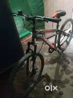 5 months cycle old