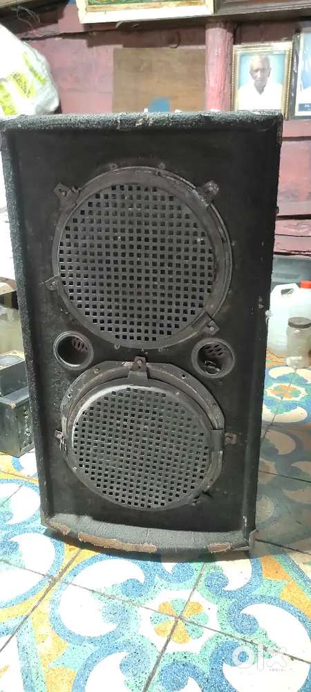 ઈલેક્ટ્રીક સ્પીકર