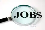 Fresher and experienced