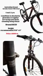 REID CYCLE