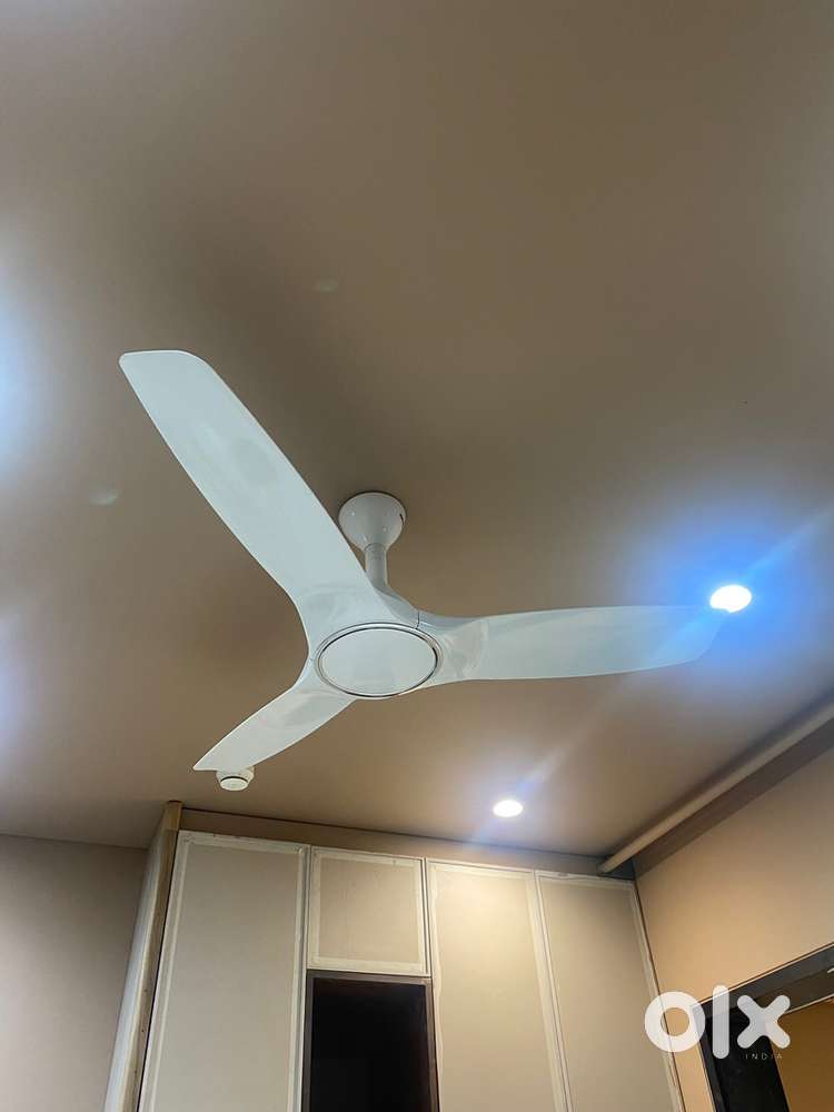 3 Havells fan for sale