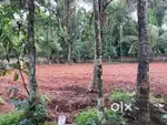 PERUMBAVOOR TOWN: 16 cent