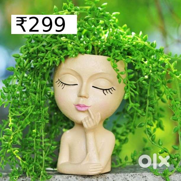 Designer Ceramic Pots