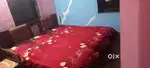 Sofa Cum Bed