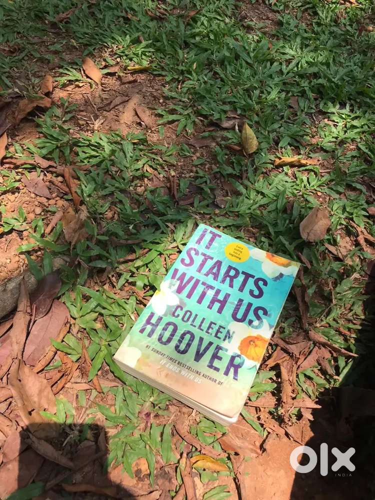 Book name:it starts with us