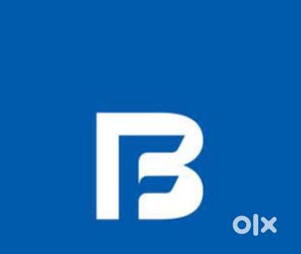 COLLECTION EXECUTIVE