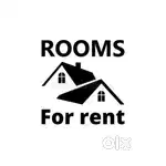 Two room with attached washroom one drawing room one wooded kitchen