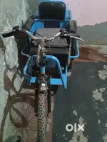 E rixaw for handicapped
