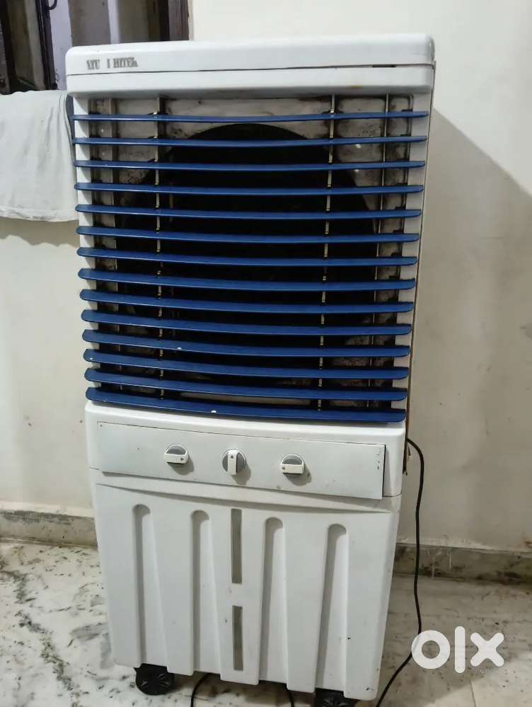cooler 1 year old