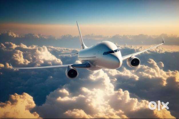 hurry up vacancies for ticketing executive and for ground staff