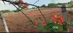 Beautiful & Commercial like 20 Guntas Main Road Plot at Zaheerabad.