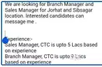 Insurance and Loan Manager