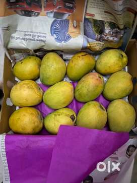 Fruits (Mango)